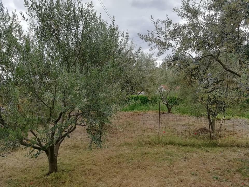 Dolce Villa Peyruis Kültér fotó